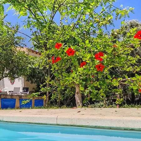 House With Exclusive Pool And Garden 7 Min Walk From The And The Center