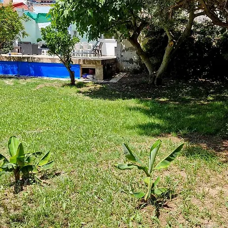 House With Exclusive Pool And Garden 7 Min Walk From The And The Center El Campello