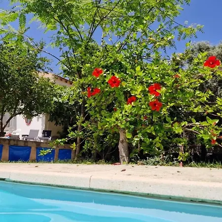 House With Exclusive Pool And Garden 7 Min Walk From The And The Center Semesterbostad *